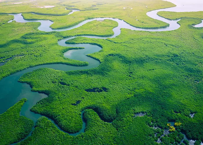 Phát triển bền vững